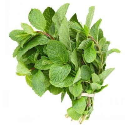 mint leaves-புதினா